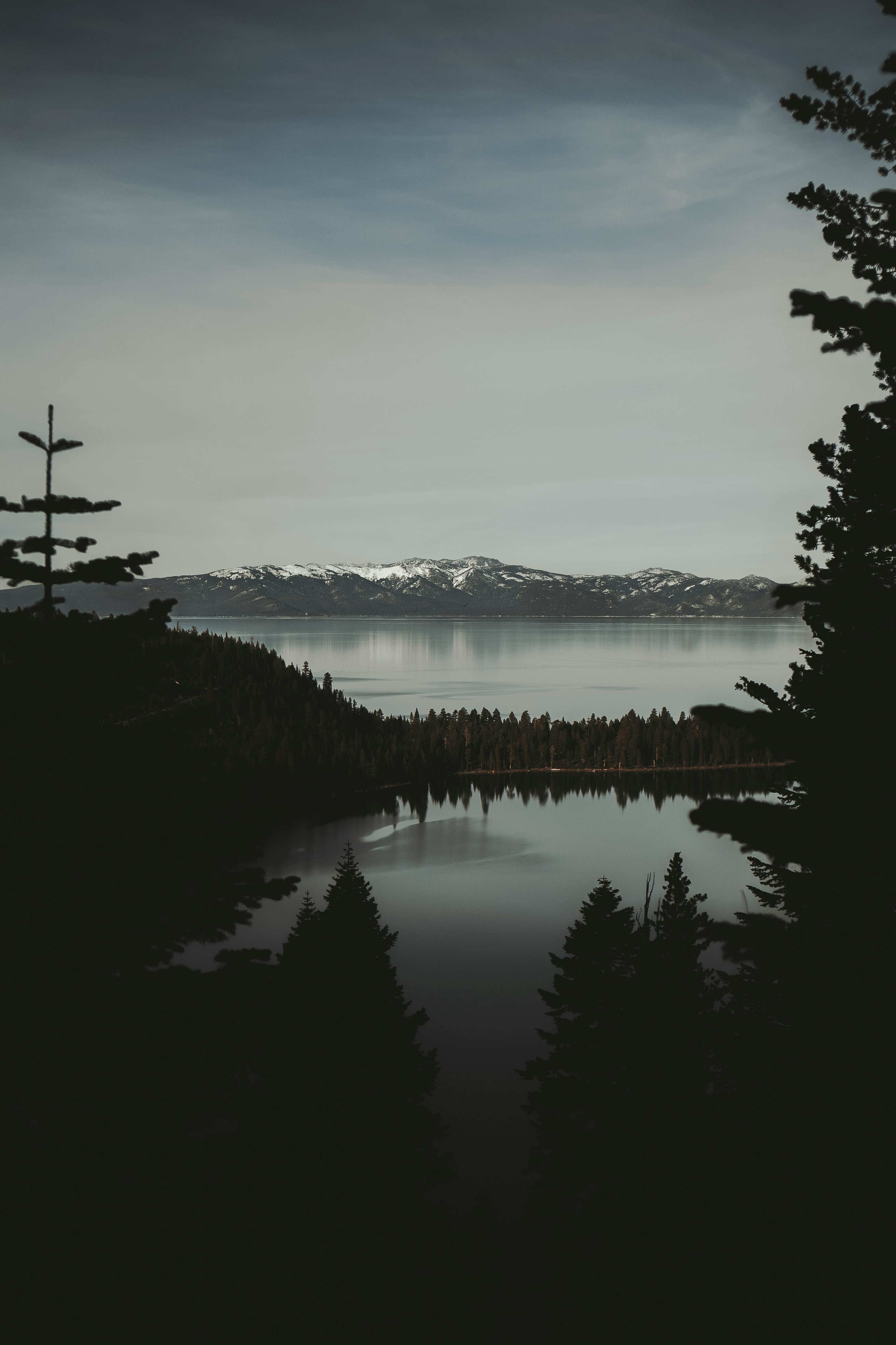 body of water near trees during daytime